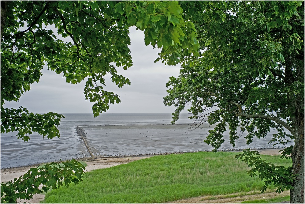 Sylt, Wattblick von Nielsens-Kaffeegarten