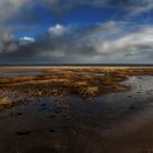 SYLT - Wattenmeer