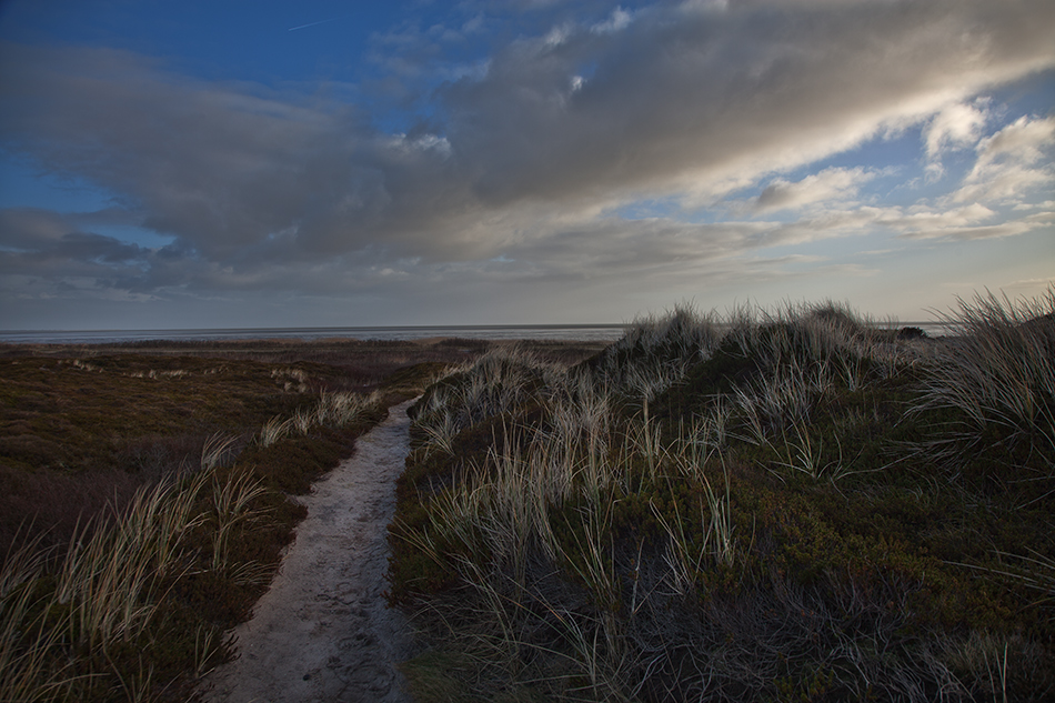 SYLT - Wattenmeer