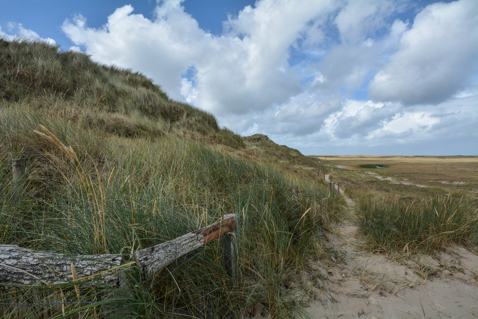 Sylt - Weg am Ellenbogen - August 2014