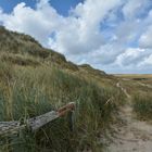 Sylt - Weg am Ellenbogen - August 2014