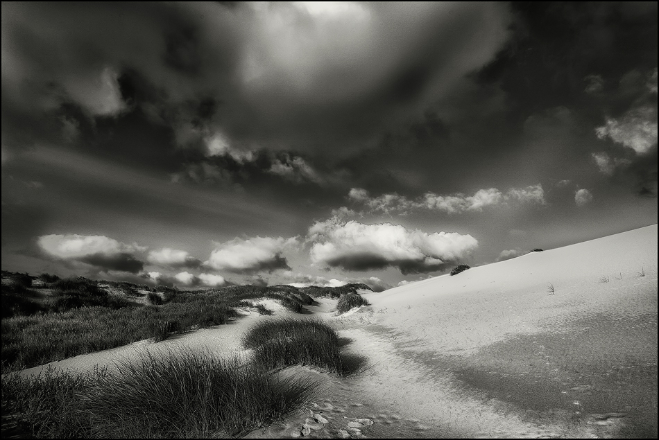 SYLT - Weg zum Horizont