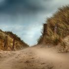 SYLT - Wenn der Wind den Sand über die Dünen fegt