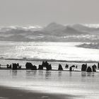 Sylt Westerland 