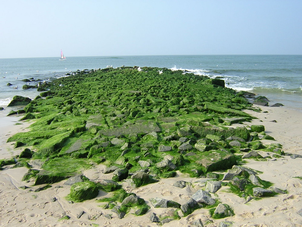 Sylt - Westerland