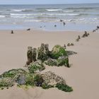 Sylt - Westerland - Strandgut