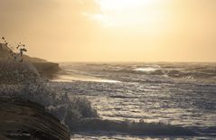 Sylt Weststrand 