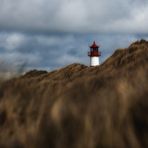 SYLT - Wind in den Dünen