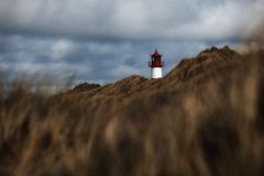 SYLT - Wind in den Dünen