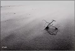 Sylt Winter 1980  (Ordner Sylt 1980) 