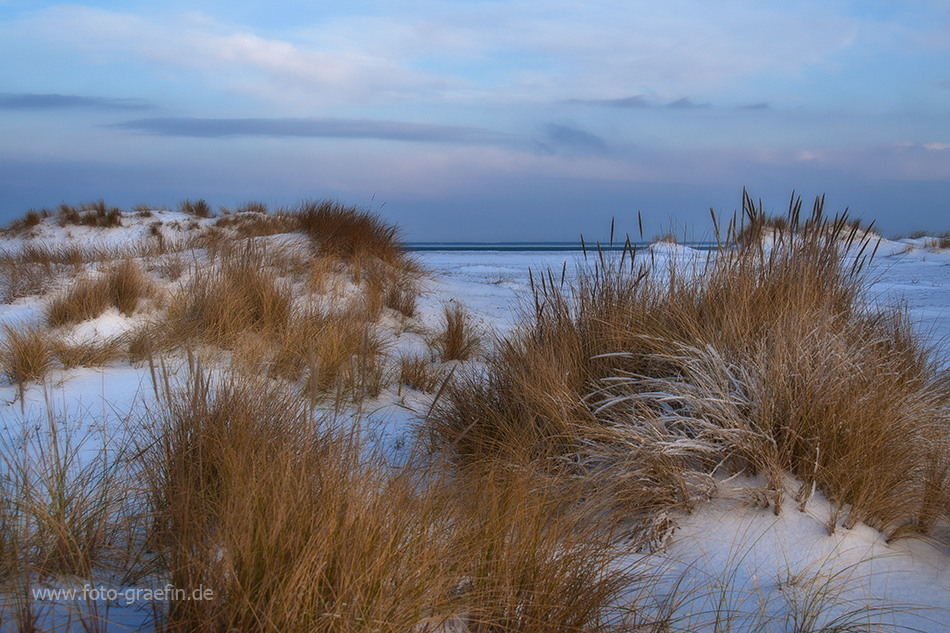 SYLT - Winterlandschaft