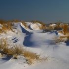 Sylt-winterliche Dünenlandschaft auf denEllenbogen