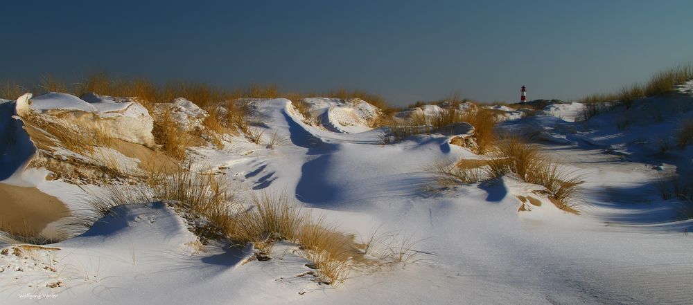 Sylt-winterliche Dünenlandschaft auf denEllenbogen