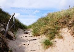 Sylt06