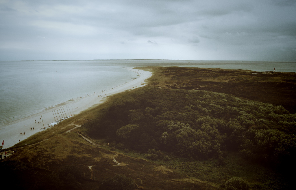 sylt1