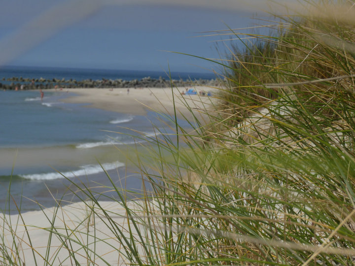 Sylt2