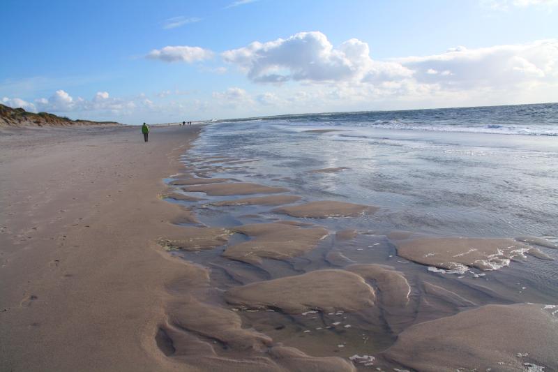 Sylt2