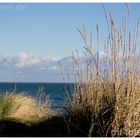 Sylt_3