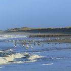 Sylt,am Strand vom Klappholttal