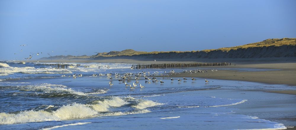 Sylt,am Strand vom Klappholttal