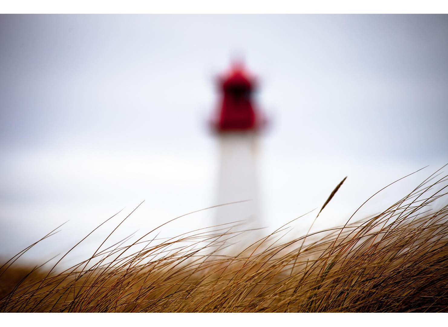 Sylt....Dünengras