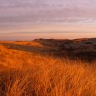 Sylter Dünen im Winter