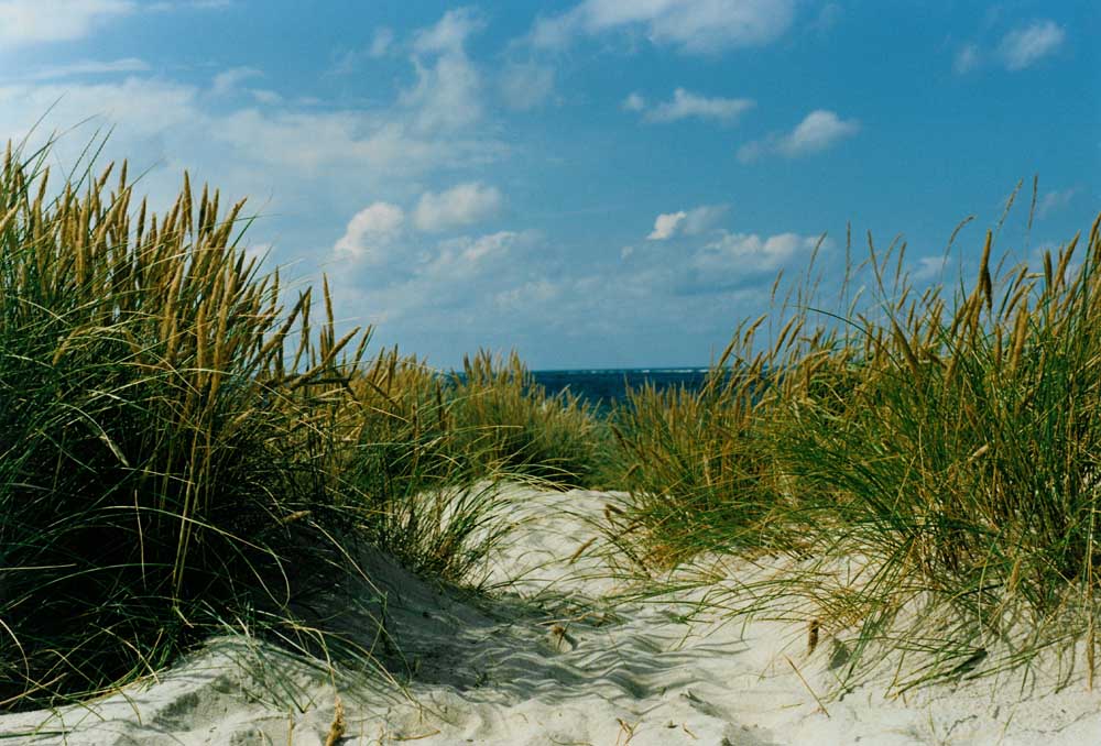 Sylter Dünen - mit dem Bauch im warmen Sand