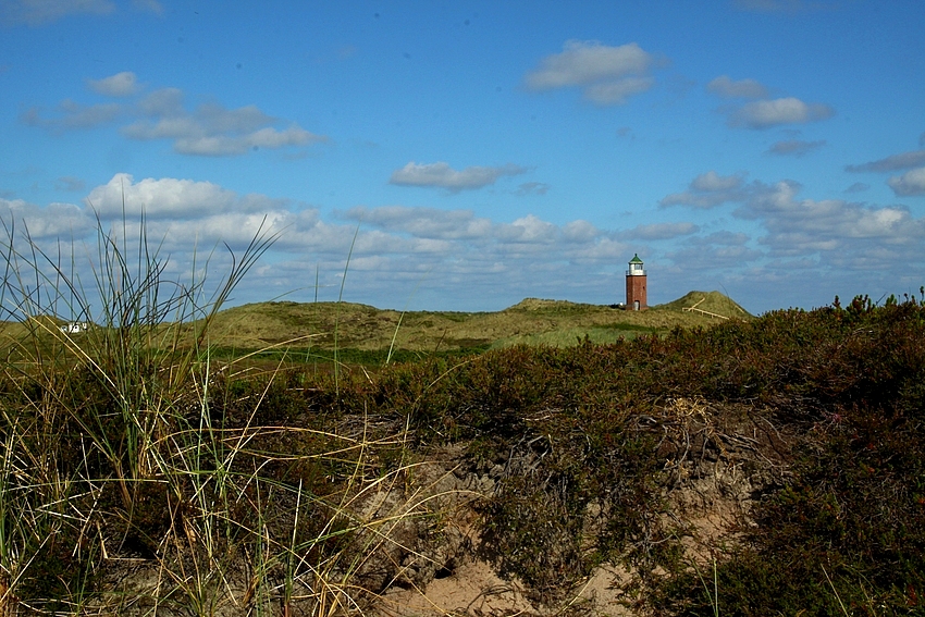 Sylter Dünenlandschaft