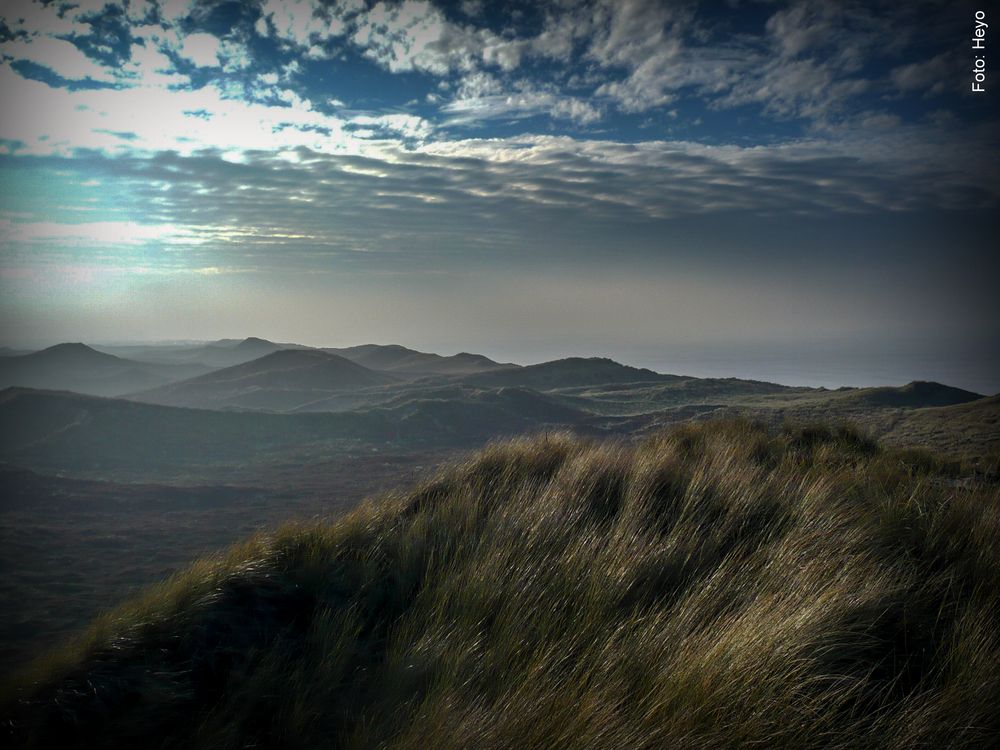 Sylter Dünenlandschaft