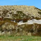 Sylter Dünenlandschaft