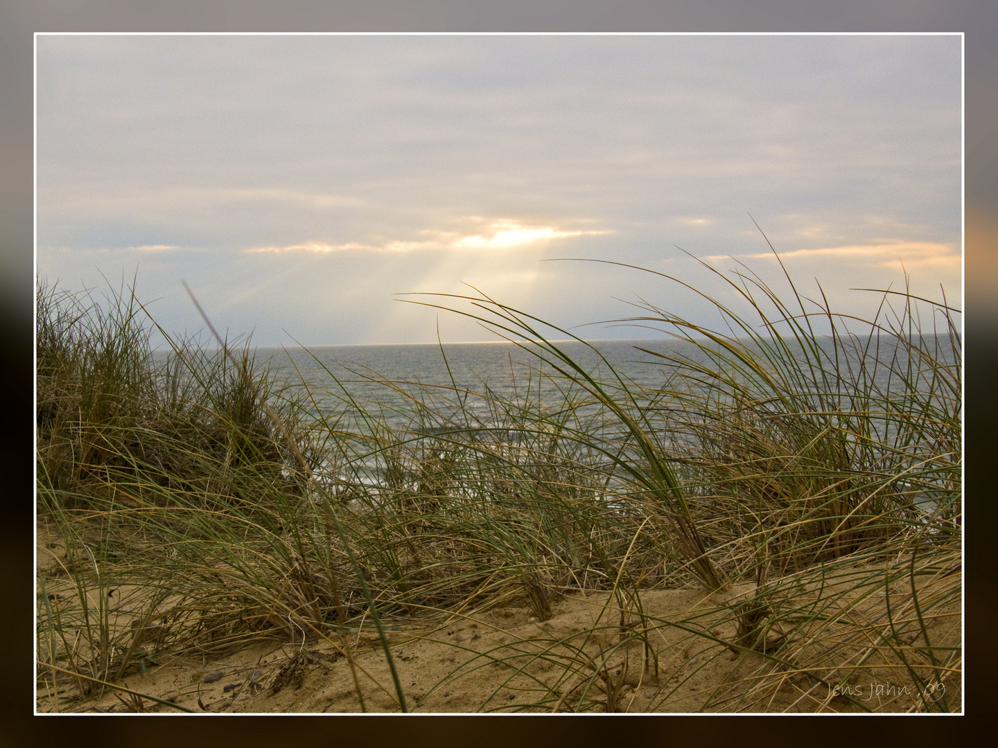 Sylter Dünenlandschaft