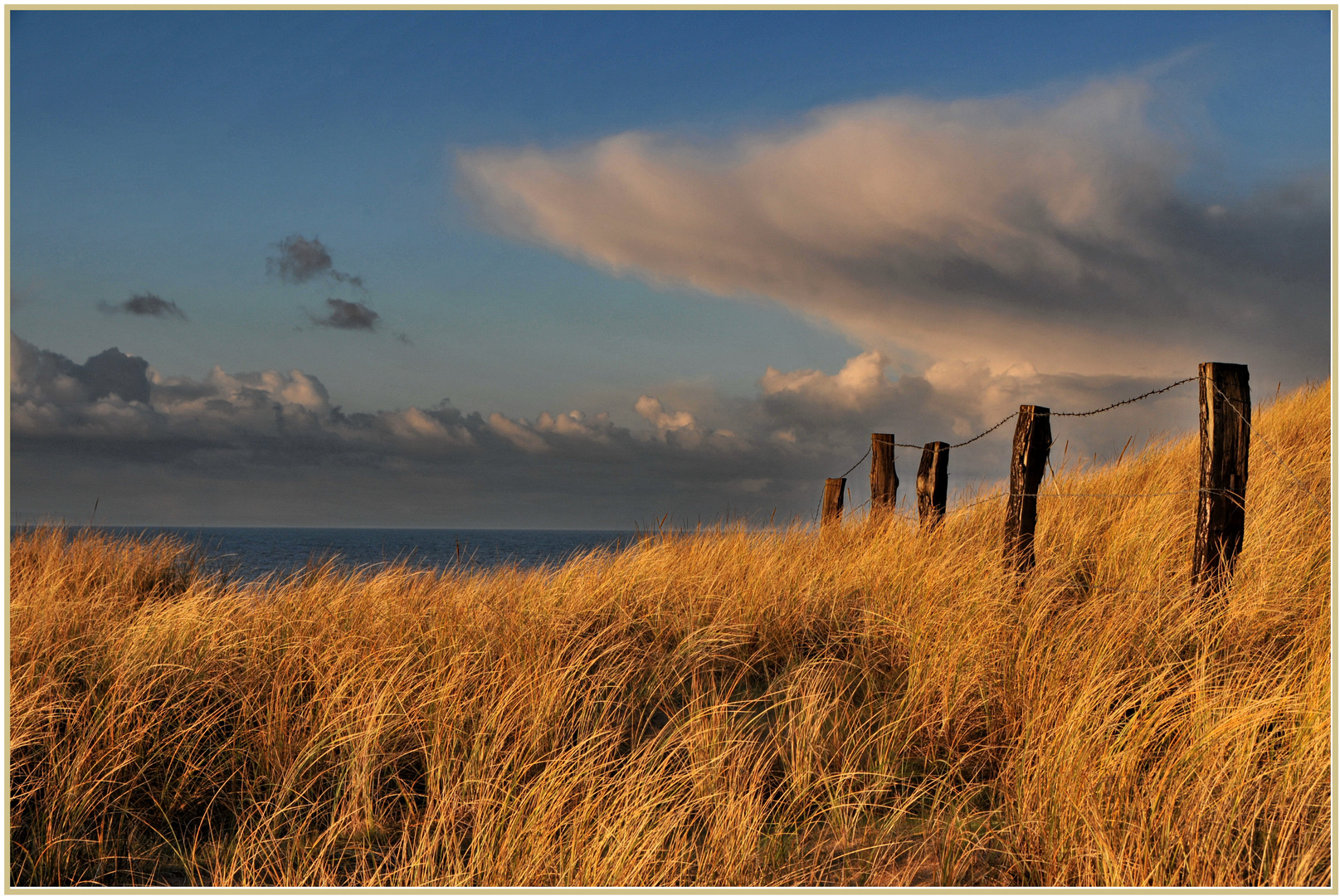 Sylter Dünenlandschaft