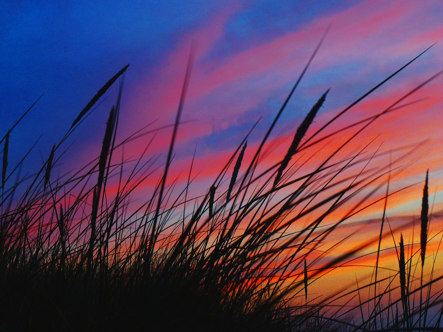 Sylter Sonnenuntergangshimmel hinter Strandhafer