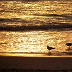 Sylter Strand am Abend