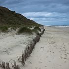 sylter strand in Kampen