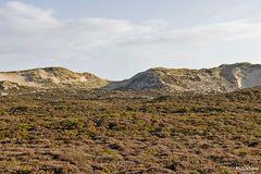 Sylter Wanderdüne