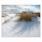 Sylter-Winter-Impressionen I