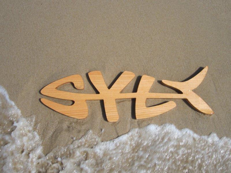 Syltfisch auf dem Strand