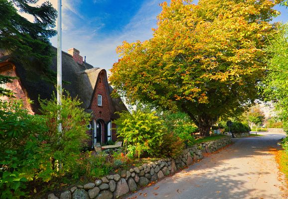 Sylt_Keitum_Haus u Kastanie_3875