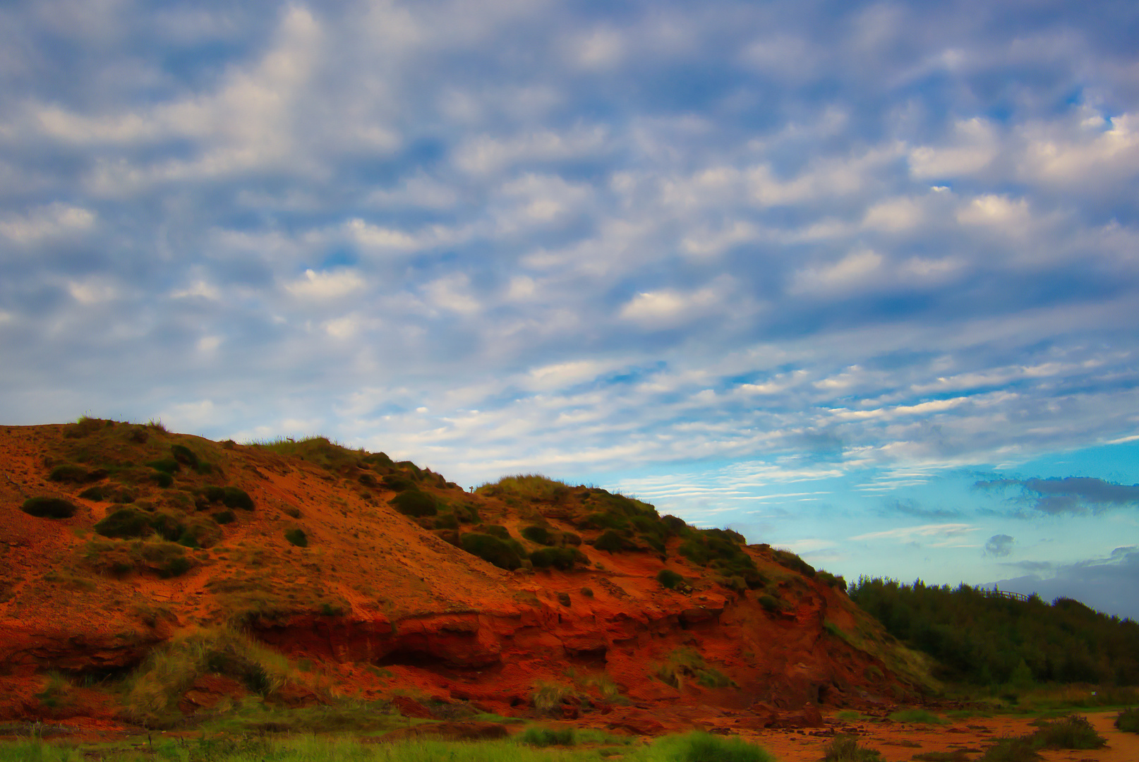 Sylt_Morsum Kliff im Morgenlicht_3858