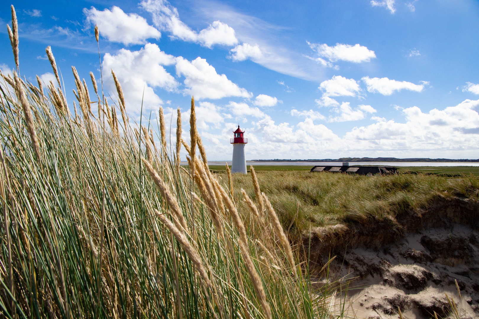 Sylt_Naturpark Ellenbogen-3