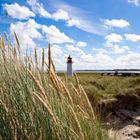 Sylt_Naturpark Ellenbogen-3