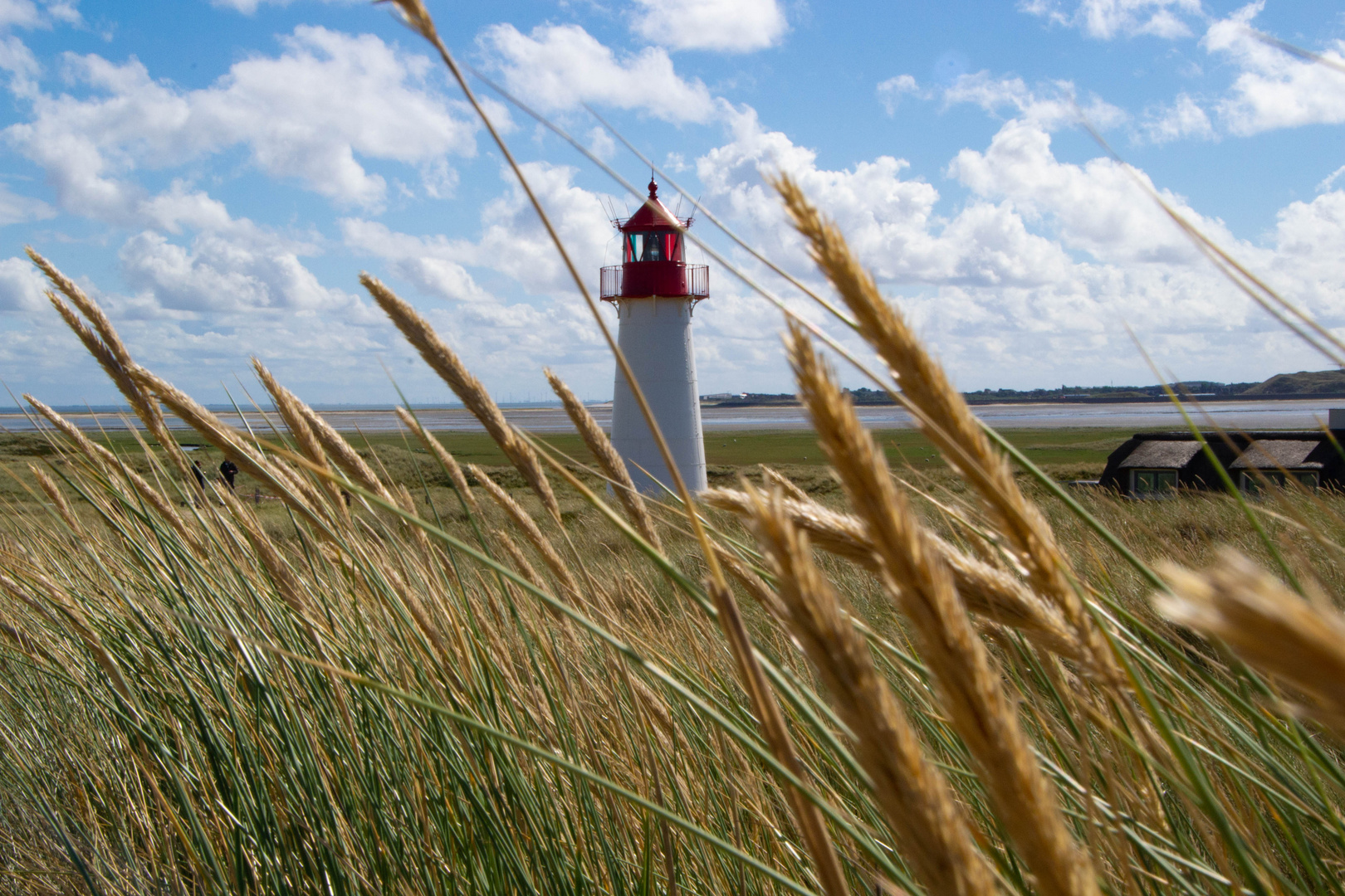 Sylt_Naturpark Ellenbogen-5