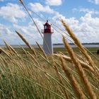 Sylt_Naturpark Ellenbogen-5