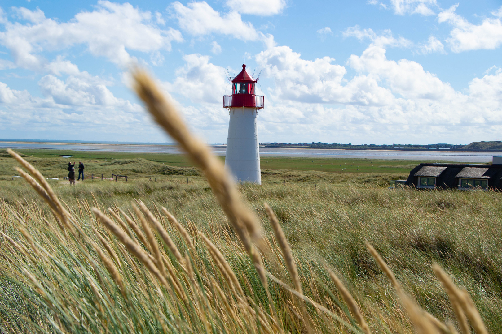 Sylt_Naturpark Ellenbogen-6