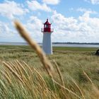 Sylt_Naturpark Ellenbogen-6