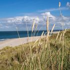 Sylt_Naturpark Ellenbogen-7