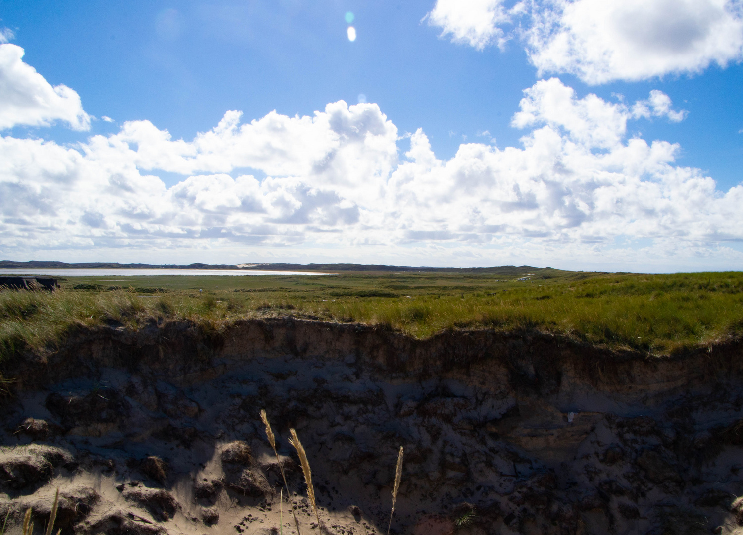 Sylt_Naturpark Ellenbogen-8