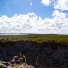 Sylt_Naturpark Ellenbogen-8