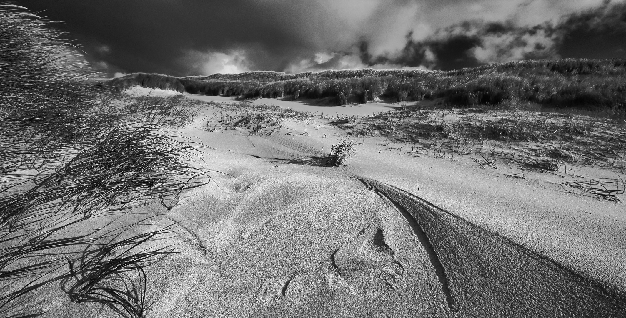 Sylt_Spuren im Sand_3903